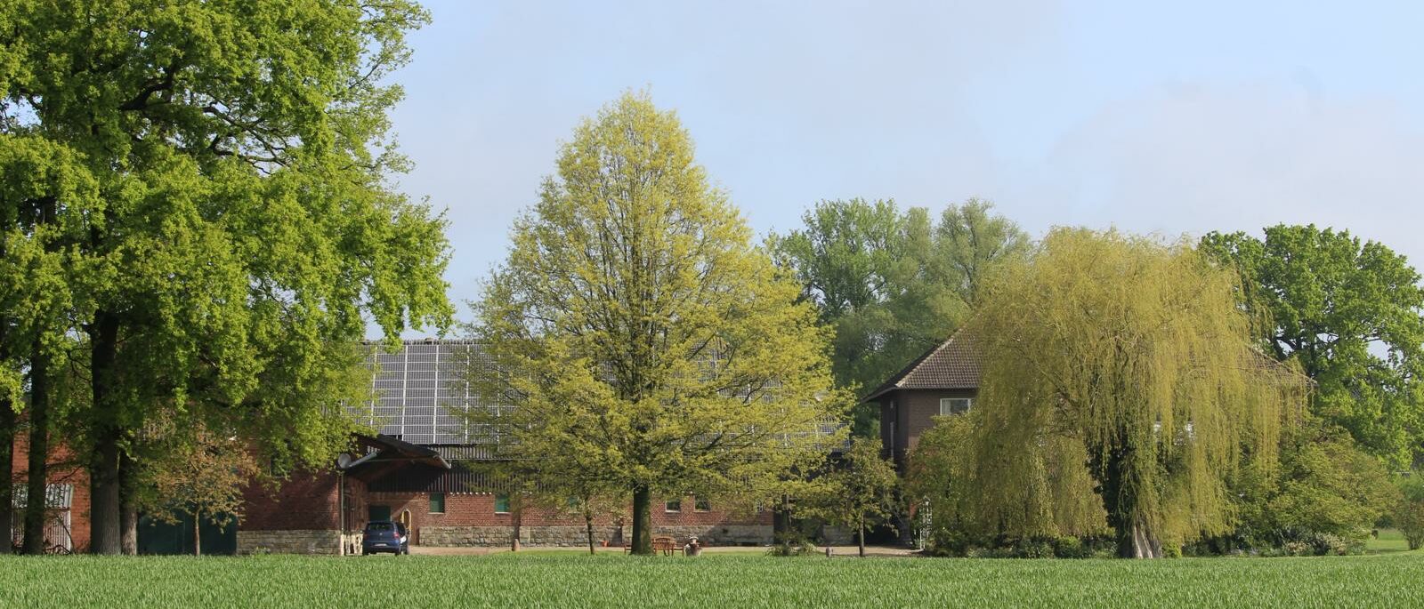 WhatsApp Bild 2024-04-17 um 15.26.45_4ce6fdce