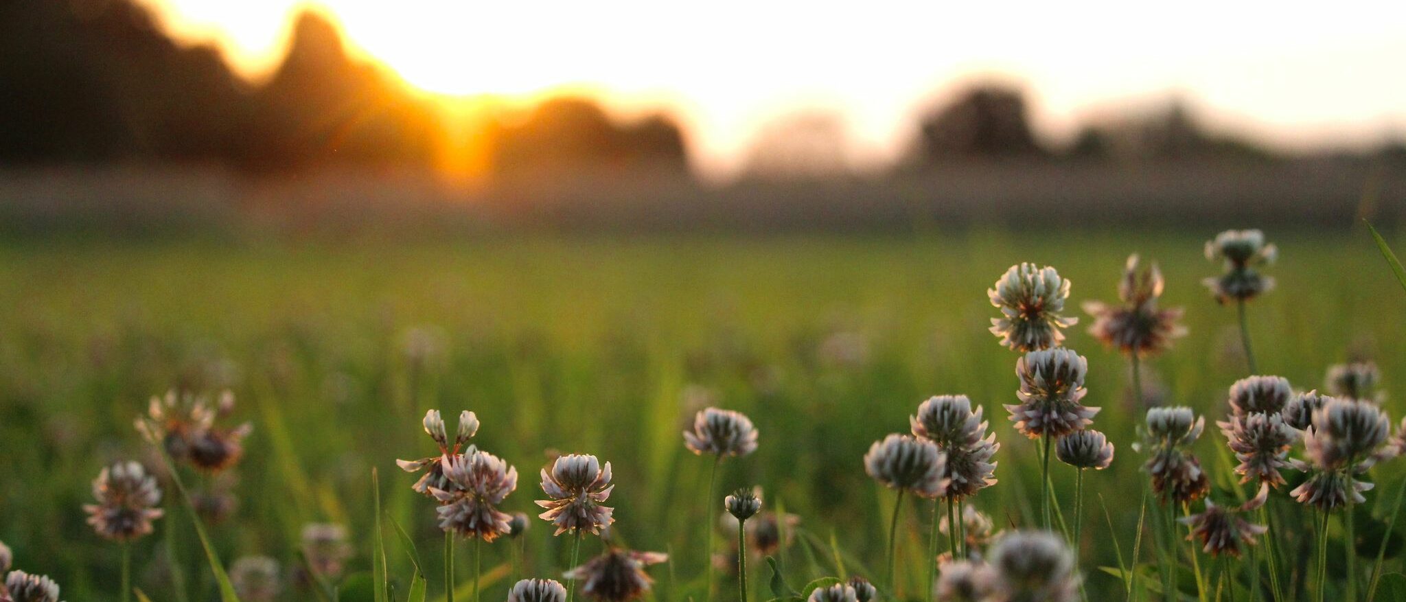 WhatsApp Bild 2025-07-28 um 10.46.27_bdd8af0b